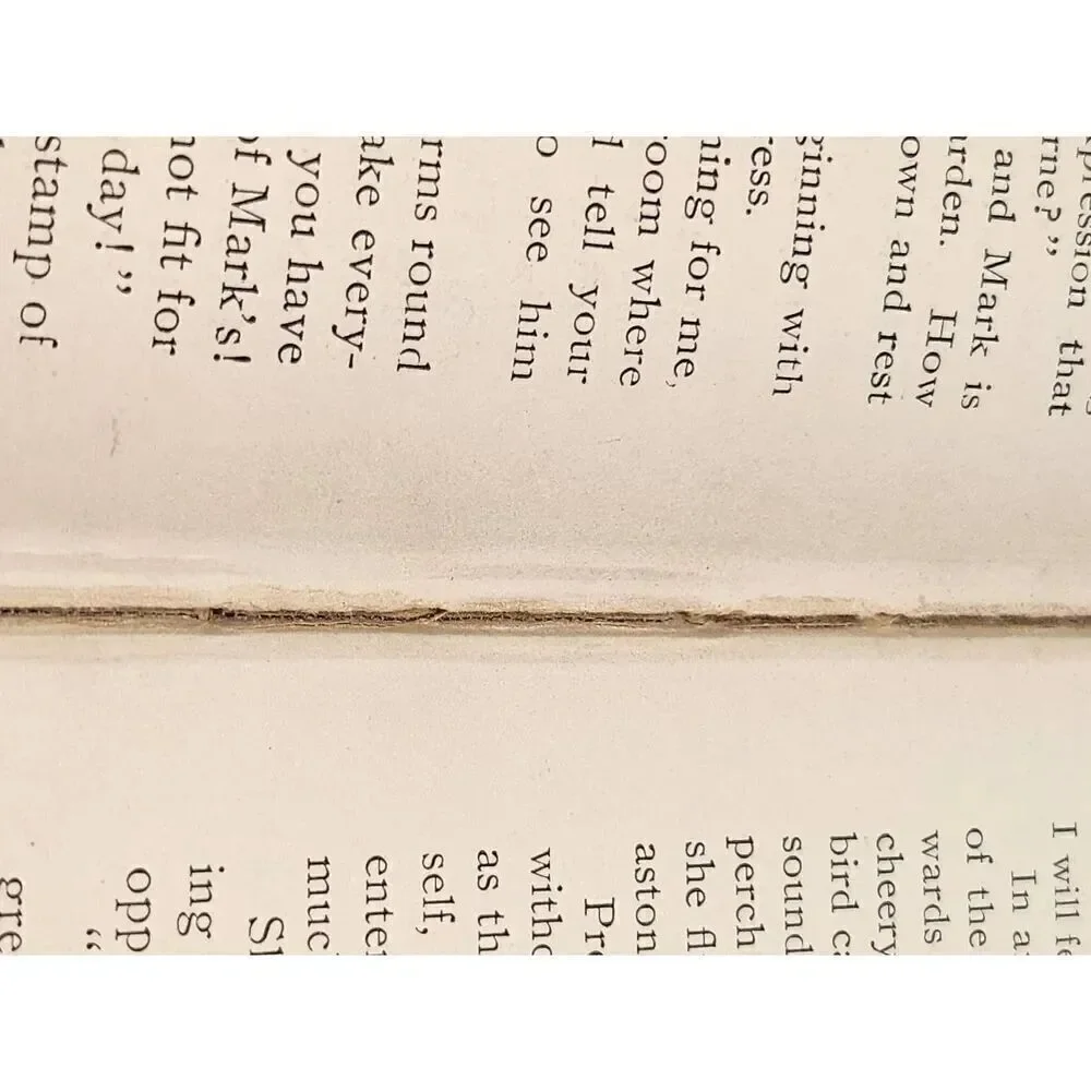 Vintage 1898 Miss Erin hardcover book #A88